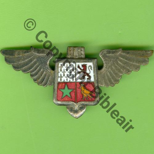 31e ESCADRE DE BOMBARDEMENT  1944-46 Argente oiseau orange  Dr Dep Eping soudee etain Dos lisse Ecu matrice  Src.Y.GENTY 153Eur11.16  